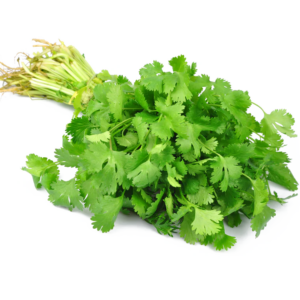 Korianteri