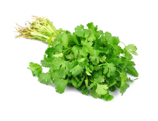 Korianteri