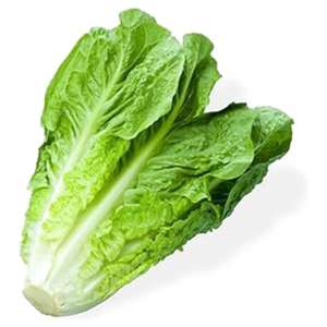 Romaine-salaatti