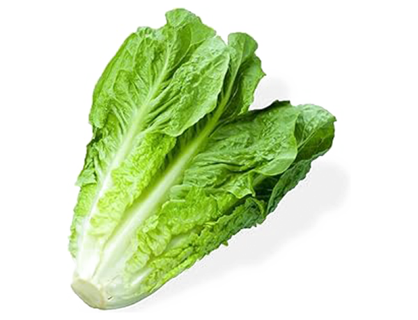 Romaine-salaatti