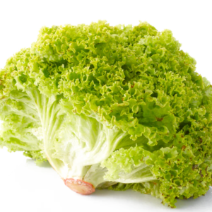 Salad Bowl - salaatti