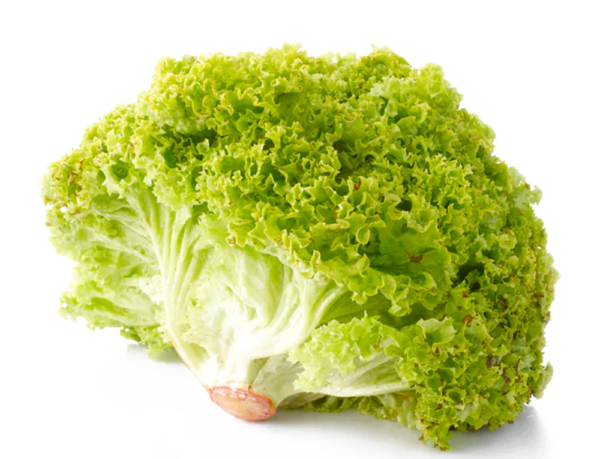 Salad Bowl - salaatti